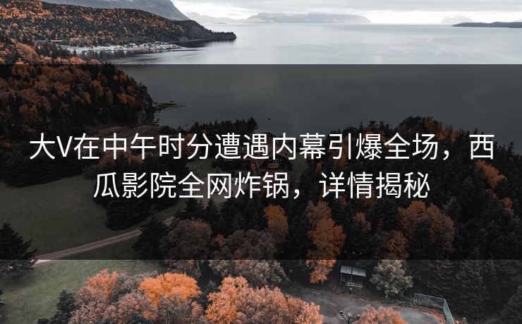 大V在中午时分遭遇内幕引爆全场，西瓜影院全网炸锅，详情揭秘