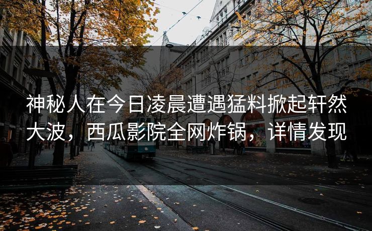 神秘人在今日凌晨遭遇猛料掀起轩然大波，西瓜影院全网炸锅，详情发现